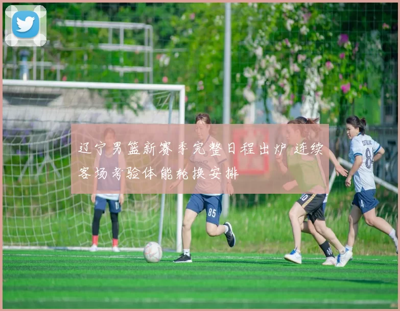 辽宁男篮新赛季完整日程出炉 连续客场考验体能轮换安排