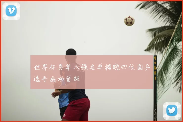 世界杯男单八强名单揭晓四位国乒选手成功晋级